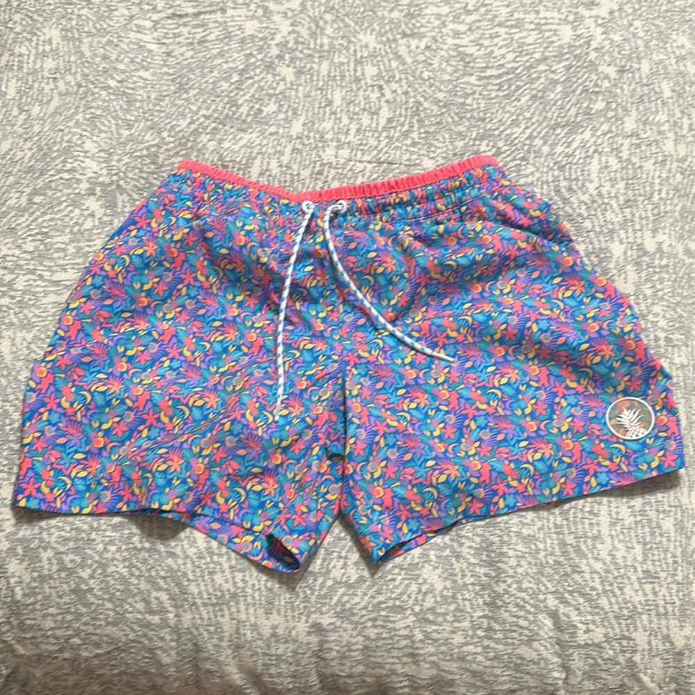 Men’s medium chubbies 5.5” compression lined swim trunks.